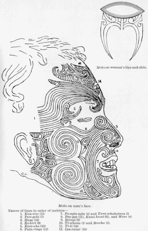 Moko on woman's lips and chin.
Moko on man's face.

Names of lines in order of incision&mdash;
1. Kau-wae (13)
2. Pere-pehi (7)
3. Hupe (15)
4. Ko-kiri (9)
5. Koro-aha (10)
6. Puta-ringa (12)
7. Po-ngia-ngia (4) and Tara-whakatara (5)
8. Pae-pae (11), Kumi-kumi (6), and Wero (8)
9. Rerepi (3)
10. Ti-whana (1) and Rawha (2)
11. Ti-ti (14)
12. Ipu-rangi (16)