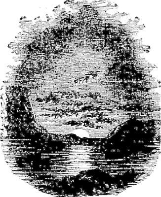 TAIL PIECE&mdash;TOWARDS THE SUN