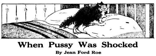When Pussy Was Shocked
By Jean Ford Roe