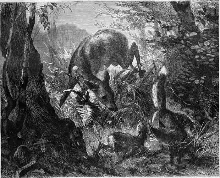 MOTHER IS HERE!&mdash;DEIKER.