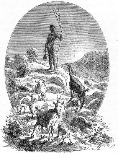 Kaffer, Schafe h&uuml;tend.