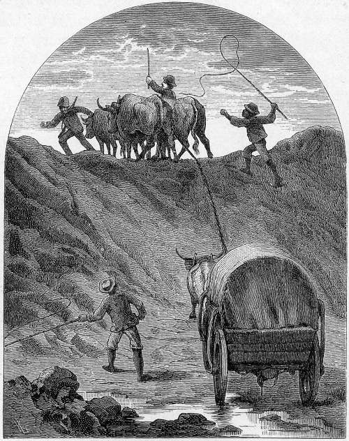 Vorspann in S&uuml;d-Afrika.