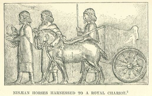 279.jpg Nis�an Houses Harnessed to a Royal Chariot 