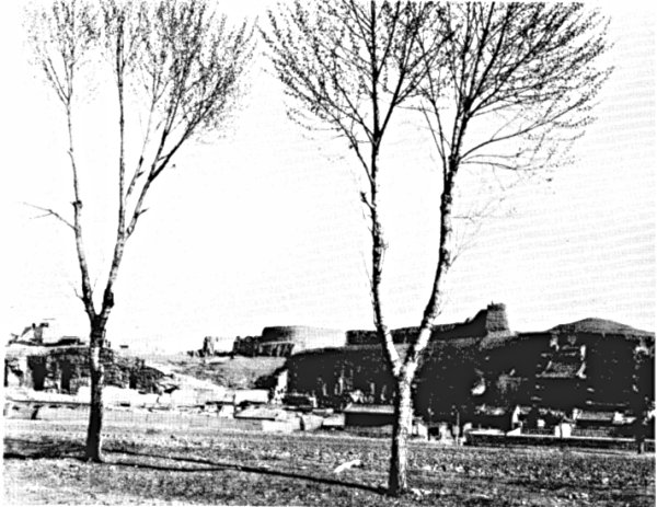 7 General view of the Buddhist cave-temples of Y&uuml;n-kang.