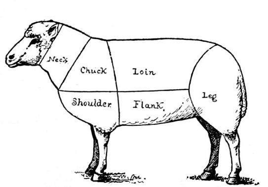 Fig. 4.&mdash;Diagram of cuts of mutton.