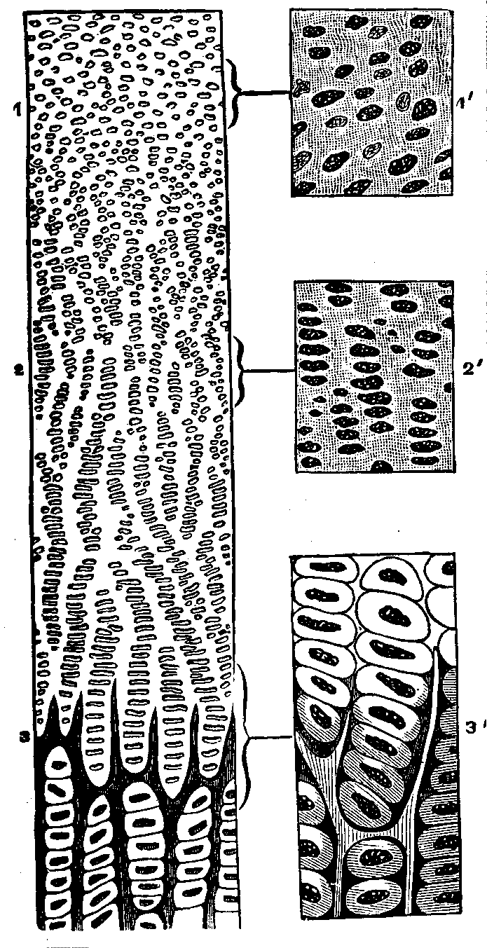 Illustration:
Fig. 7.