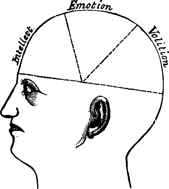 Illustration:
Fig. 68.