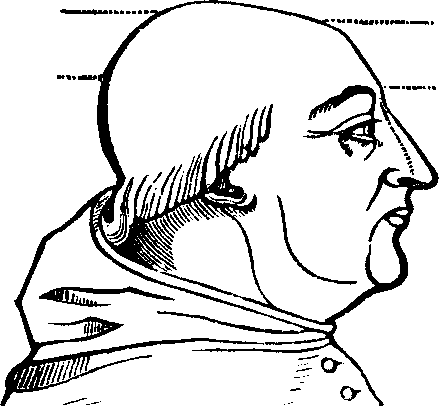 Illustration:
Fig. 73. is a representation of the cranial conformation of Alexander VI.,
