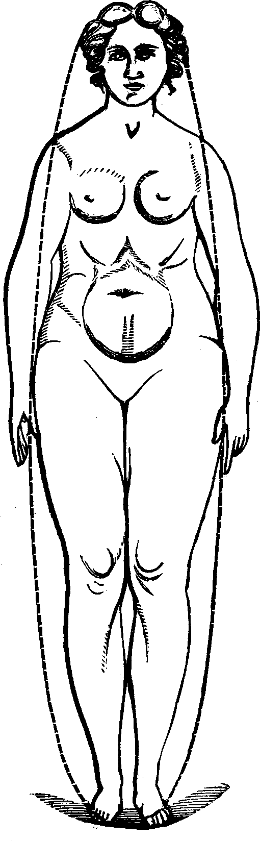 Illustration:
Fig. 101. Female