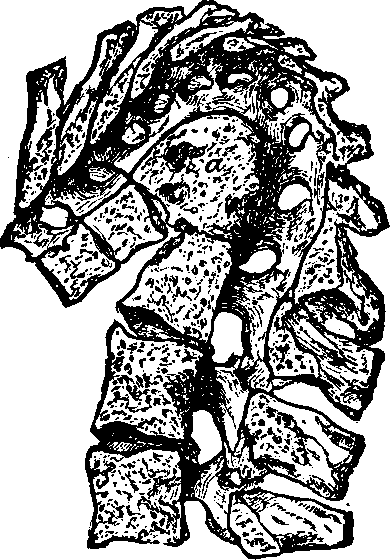 Illustration:
Fig. 2.