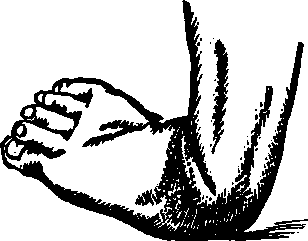 Illustration:
Fig. 21.