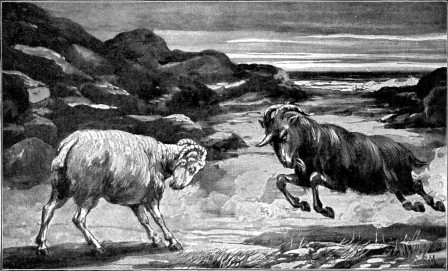 SYMBOLS OF MEDO-PERSIA
AND GRECIA

"The ram which thou sawest having two horns are the kings
of Media and Persia. And the rough goat is the king of
Grecia." Dan. 8:20, 21.