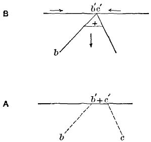 Fig. 21.&mdash;Diagram showing how a portion of the earth's
surface may be sunk by faulting. Fig. A shows the original position;
B, the position after faulting; b b' and c c' the planes of the
faults; the arrows the direction of the movement.