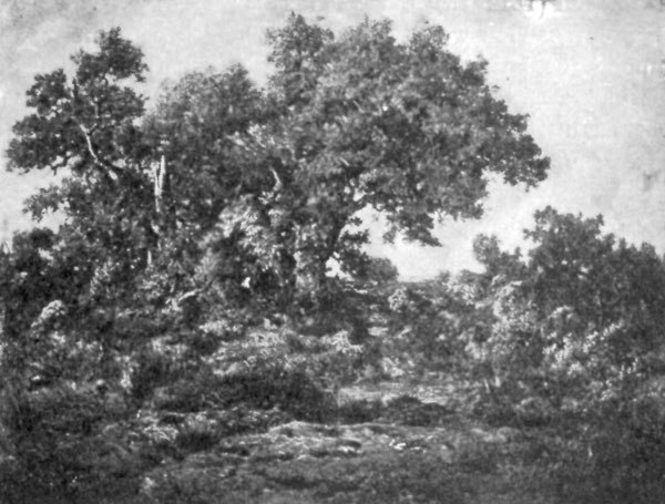 FIG. 65.&mdash;ROUSSEAU, CHARCOAL BURNERS' HUT. FULLER
COLLECTION.