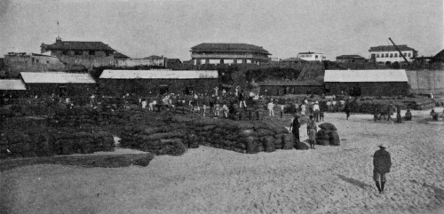 FORESHORE AT ACCRA, WITH STACKS OF CACAO READY FOR SHIPMENT
Reproduced by permission of the Editor of "West Africa".