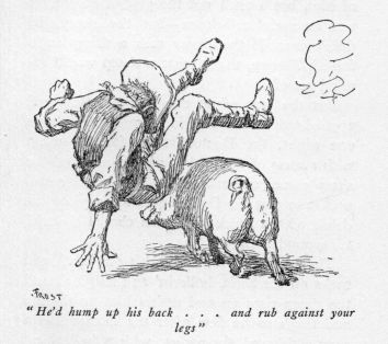 "He'd hump up his back&nbsp;.&nbsp;.&nbsp;. and rub against your legs"