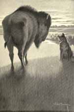 "I AM NO WOLF, SHAG; I AM A'TIM, WHICH MEANETH A DOG IN
THE TALK OF THE CREES.