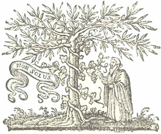 Elzevir &lsquo;Sage&rsquo;