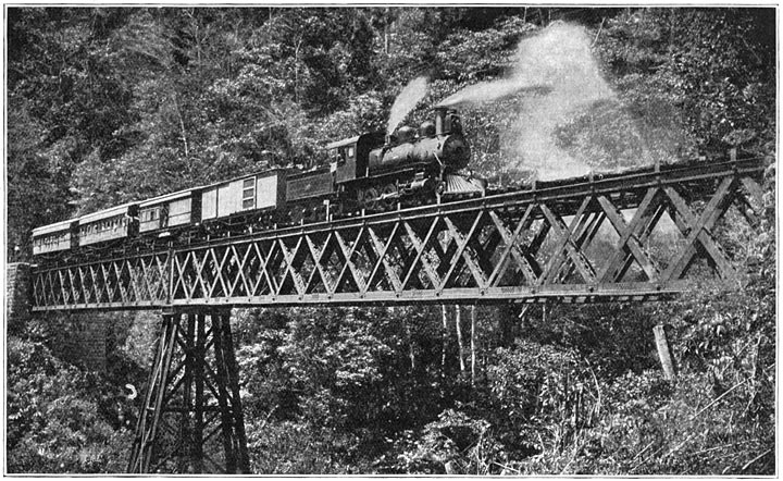 De lijn van San Jos&eacute; naar Puerto Limon aan den Atlantischen Oceaan gaat over bruggen die diepe afgronden overspannen.
