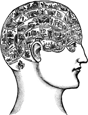 Head labelled with the &lsquo;Faculties of Intelligence&rsquo; (which follow) and an illustration of each (unclear).