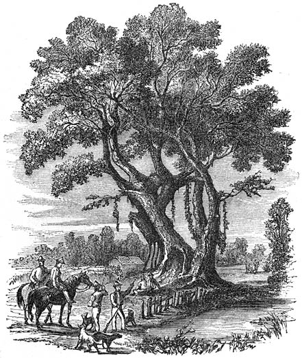 Rendez-vous de chasse &agrave; Jala-Jala.