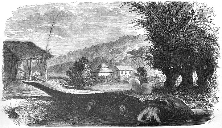 Vue de Jala-Jala.—Servante d&eacute;vor&eacute;e par un ca&iuml;man. Page 296.