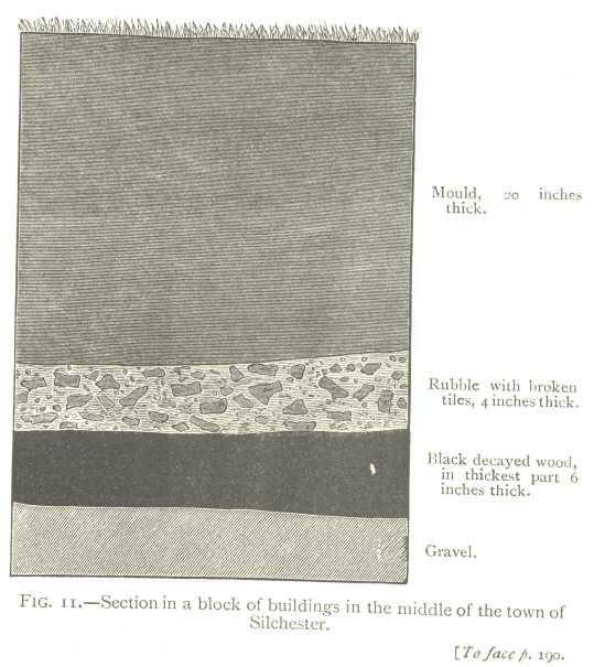 Fig. 11: Section in a block of buildings in the middle of the
town of Silchester