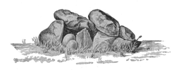 Fig. 258&mdash;Shrine at Awatobi