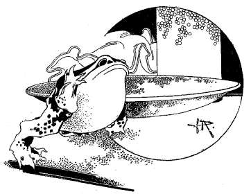 Derri�re la statue insensible, une grenouille �tait cach�e