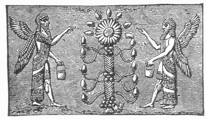 64.&mdash;WINGED SPIRITS BEFORE THE SACRED TREE. (Smith's
"Chaldea.")