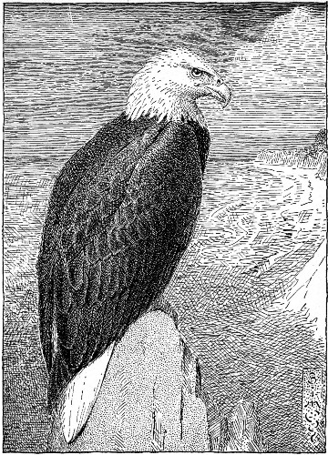 Above all other creatures of this great land he had been
honored.