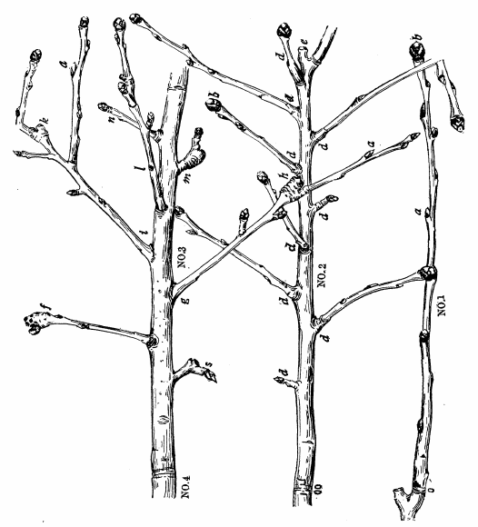 14. A three-year record.&mdash;In a leisure hour, trace the history of these parts; it will open your eyes.