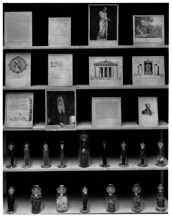 Figure 7.&mdash;Exhibit on medical history during the Greco-Roman period