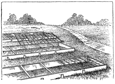 FIG. 15&mdash;COLD-FRAMES ON HILL-SIDE