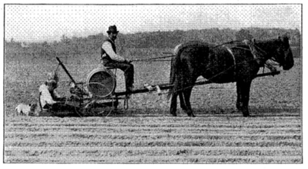 FIG. 20&mdash;PLANTING TOMATOES ON A DELAWARE FARM Photo by courtesy of American Agriculturist)