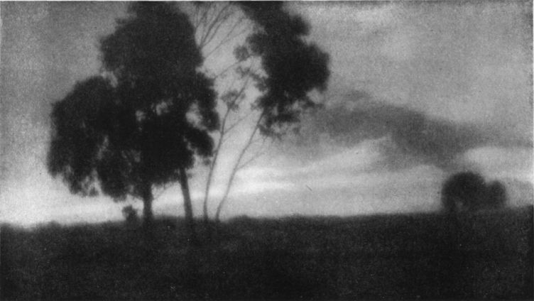 TREES AND CLOUDSBy Dr. William F. Makk, Los Angeles, Cal. TREES AND CLOUDS, By Dr. William F. Makk, Los Angeles, Cal.