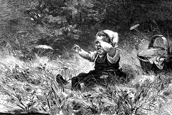 A BABE IN THE WOODS&mdash;"I 'ANT TO DO HOME!"