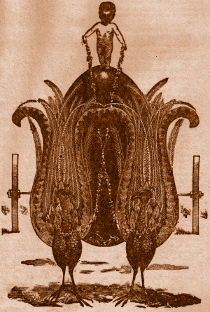 Tiny Child Astride a Giant Emu Egg harnessed to two Lyre
Birds.