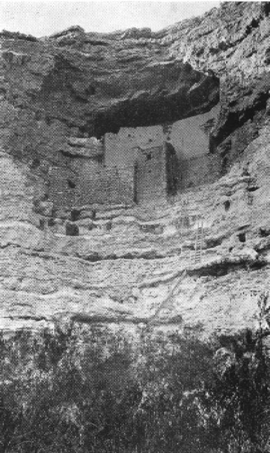 Montezuma's Castle, the ruined cliff dwelling on Beaver
Creek between the Coconino and Prescott National Forests, Arizona