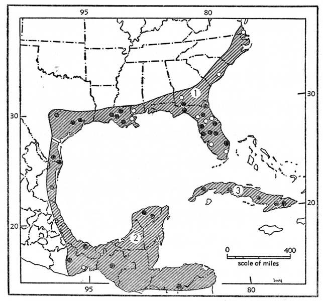 Geographic distribution of the three
subspecies of <i>Lasiurus intermedius