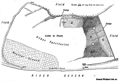 Plan of the
water meadow showing the territories occupied by Lapwings in the year
1915.