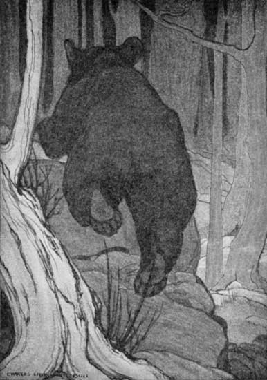 "SCUTTLED OFF INTO THE WOODS LIKE A FRIGHTENED
WOODCHUCK."