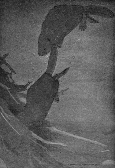 "WOULD WHISK SHARPLY INTO THE MOUTH OF THE BLACK
TUNNEL."