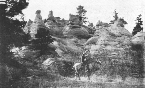 Rain and wind are the sculptors that have carved these
strange castles out of a rocky table