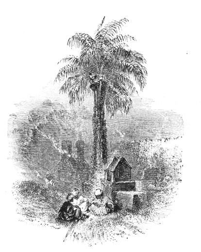 Gh&aacute;nim in the Palm-tree