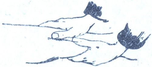 A láb vagy a kar massz&iacute;rozása