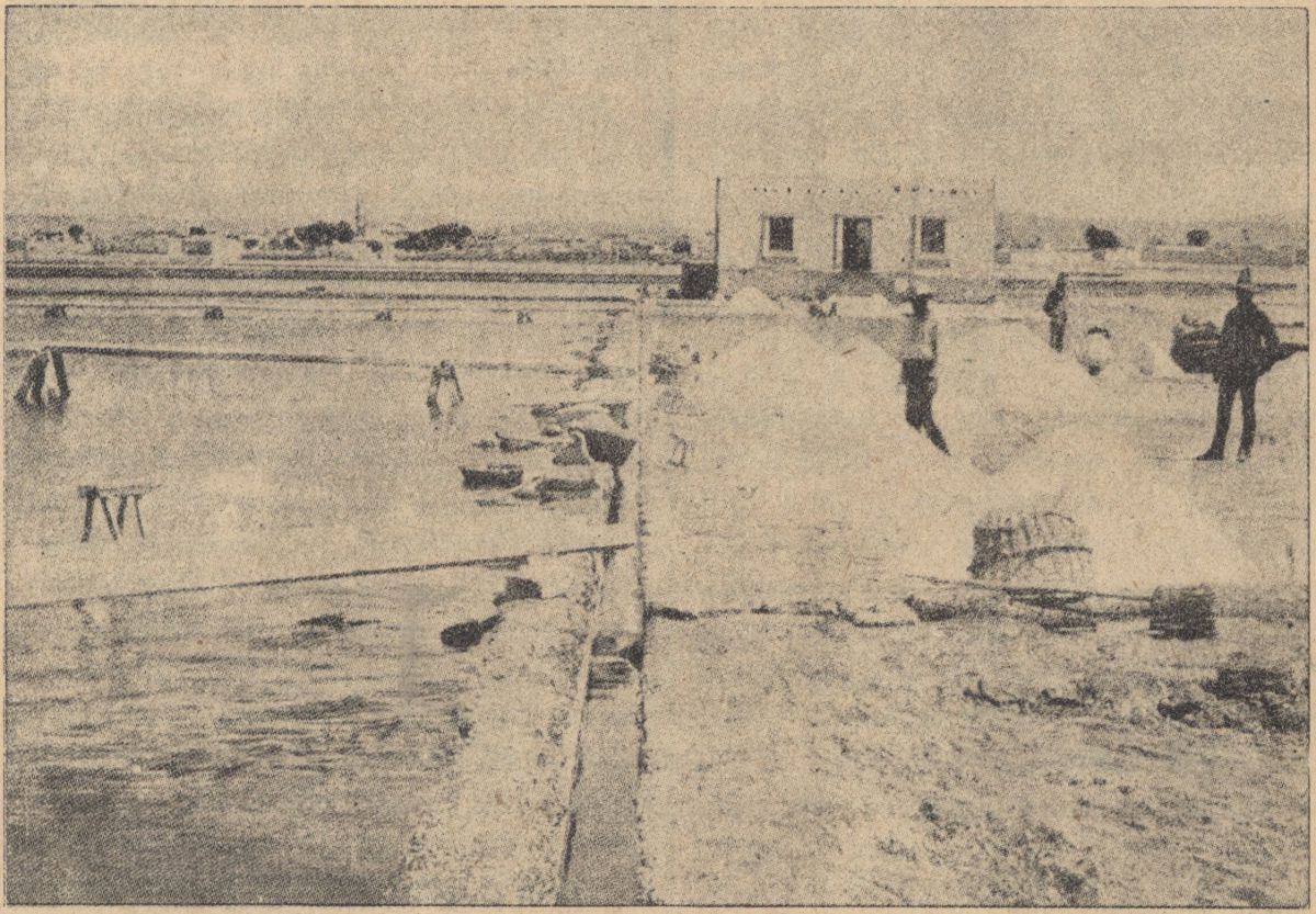 S&oacute;termel&eacute;s Afrikában