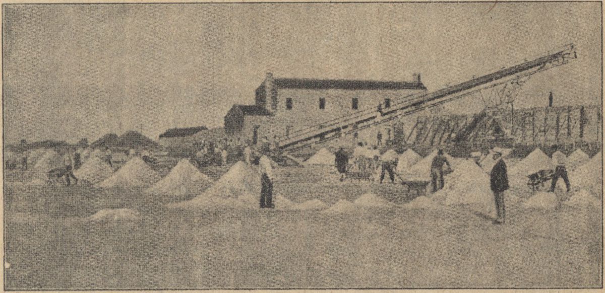 Az összegyűjtött s&oacute; a raktárakba, onnan a tiszt&iacute;t&oacute;ba ker&uuml;l