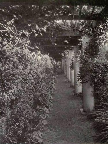 PLATE 62 "The Orchard," Southampton, L.&nbsp;I. James Lawrence Breese, Esq.