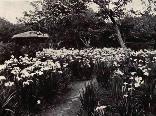 PLATE 69 East Hampton, L.&nbsp;I. Stephen Cummins, Esq.